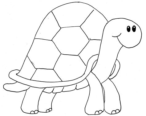Lovely Small Pets The Shaped Used To Draw Turtles