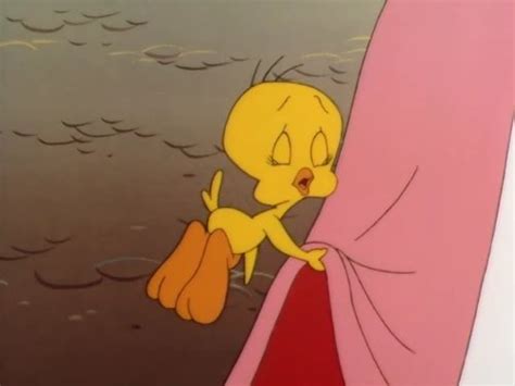 Watch The Sylvester And Tweety Mysteries The Complete First