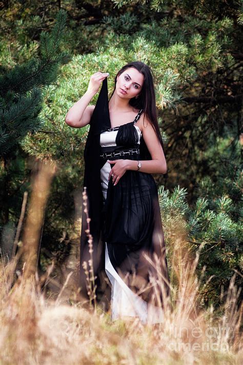 Graceful Charming Brunette Model Posing In Black Dress In Coniferous