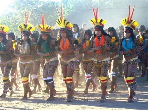 indios nossos antepassados nossos irmãos indios brasileiros povos indígenas brasileiros