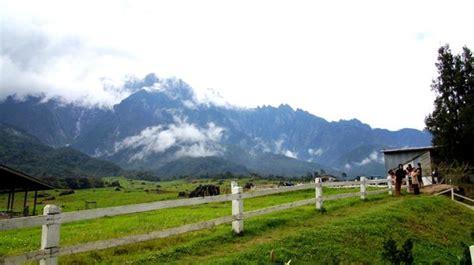 Desa dairy farm is located at the foothill of mt. Desa Dairy Farm, Mesilau, Sabah - Picture of Desa Dairy ...