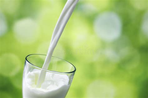 Milk From Jug Pouring Into Glass With Splashes Stock Image Image Of
