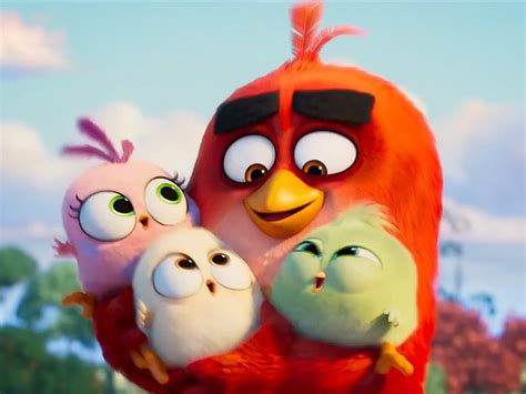 Angry Birds Vai Ganhar Série Com 40 Episódios Na Netflix Papo De Cinema