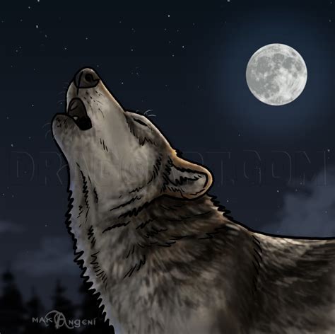 How To Draw Howling Wolves Howling Wolf Step By Step Drawing Guide