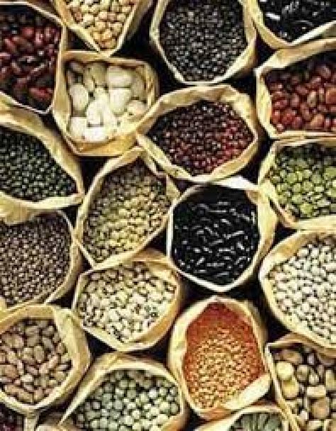 Buy All Vegetable Seeds Online At Best Prices In India Issuewire
