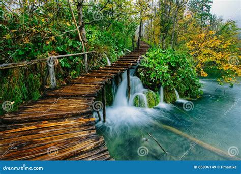 Deep Forest Stream With Crystal Clear Water With Pathway Plitvice
