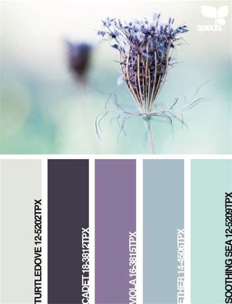 5 Teal And Purple Colour Combination Ideas List Jennifer Ramirez Baulch