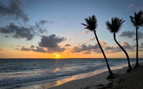 Download Wallpaper 3840x2400 Beach Ocean Palm Trees Tropics Sunset