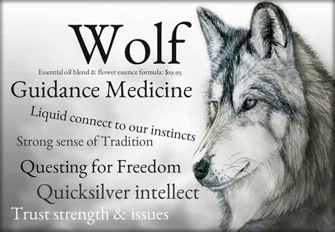 Wolf Guidance Medicine