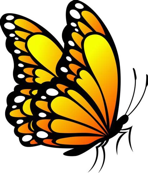 Cartoon Monarch Butterfly Illustrations Royalty Free Vector Graphics