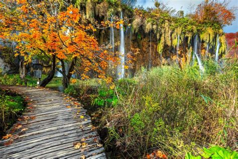 Spectacular Tourist Pathway In Colorful Autumn Forest Plitvice Lakes