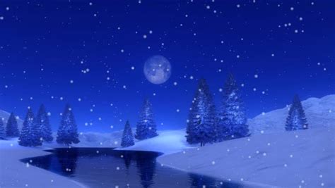 Peaceful Winter Scene With Snow Covered Fir Tree Forest At Magical