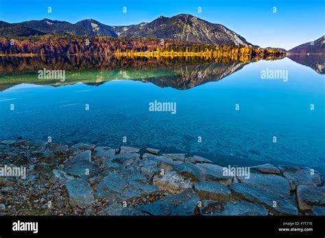 Autumn Landscape Reflection In Walchensee Lake Jachenau Bavaria