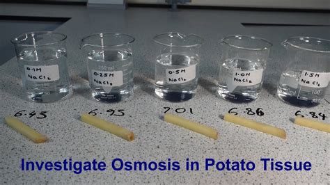 Osmosis Required Practical Review Teaching Resources Vrogue