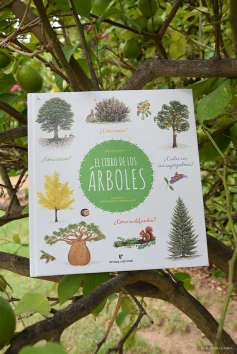 El Libro De Los Árboles Una Guía Interactiva Para Descubrir Todos Sus
