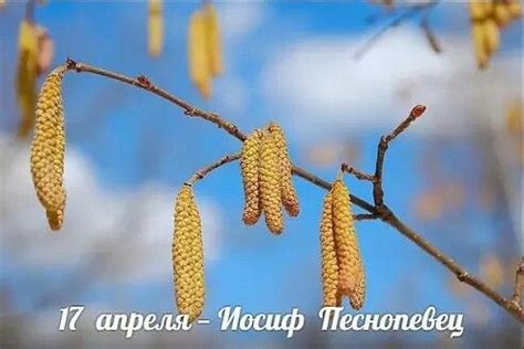17 апреля в отмечается 15 праздников, в том числе 3 профессиональных. Пин от пользователя Валентина Лютвинская на доске 17 ...