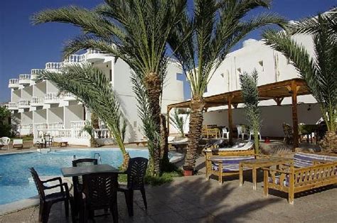 Octopus Garden Resort Prices And Hotel Reviews Dahab Egypt