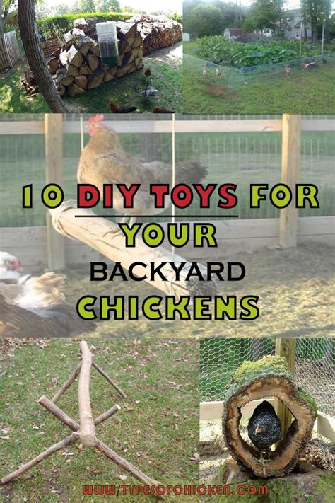 10 Diy Toys For Chickens