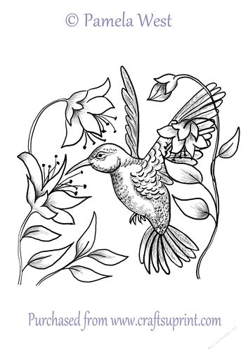 Coloring page of a hummingbird. HUmmingbird and Flowers Digital Stamps, Digi Stamp ...