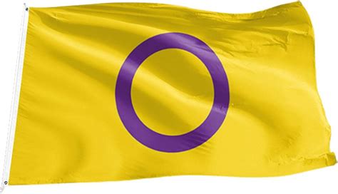 10 peças bandeira do orgulho intersex novas bandeiras LGBTQ do orgulho