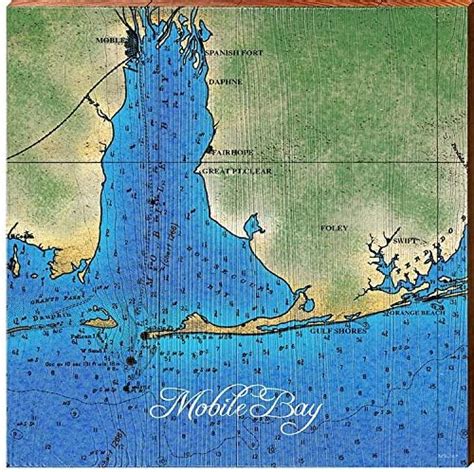 Mobile Bay Alabama Topographical Map Wall Art Charmer 5