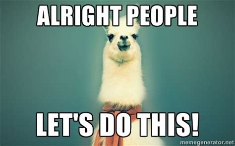 Alright People Lets Do This Pancakes Llama Motivational Memes