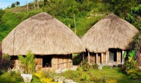 7 Gambar Rumah Adat Papua Selain Honai Dan Keunikannya