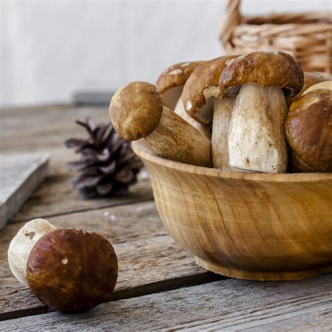 A Guide to the Most Common Types of Mushroom