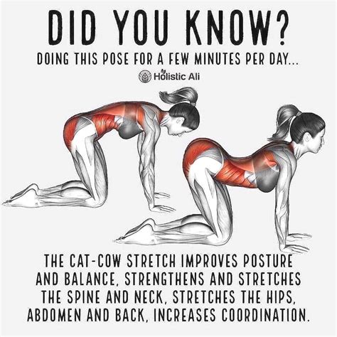 Did You Know Tag Someone To Share The CAT COW Stretch Benefits With