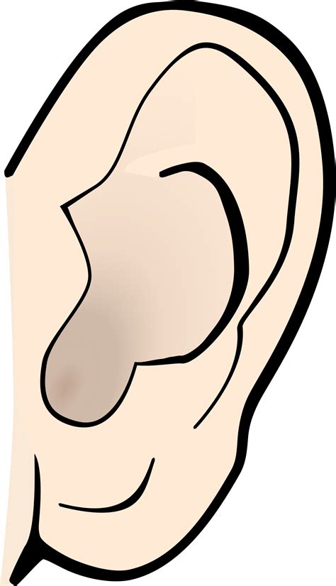 Ear Clipart Clipart Best