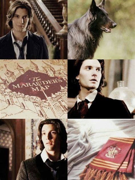 Harry Potter Image Harry Potter Young Young Sirius Black Sirius Black