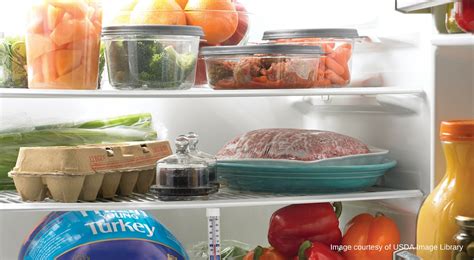 Having a working fridge is crucial for any home and fixing it is just one form of home improvement but there are many. Refrigerator and Freezer Storage | UNL Food