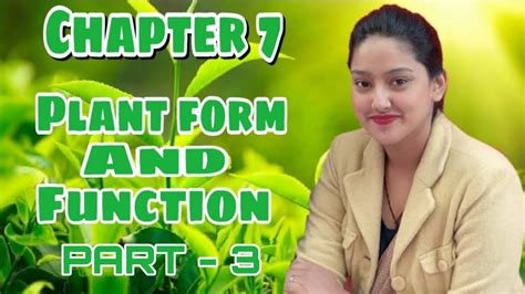 Class Th Science Chapter Plants Forms And Function Part By