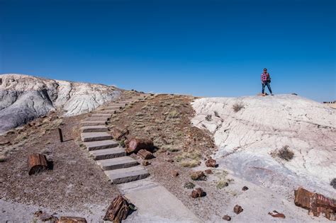 Petrified Forest National Park — The Greatest American Road Trip