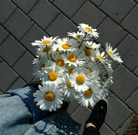 Red aesthetic grunge nature aesthetic flower aesthetic aesthetic vintage aesthetic dark aesthetic outfit aesthetic clothes aesthetic yellow aesthetic images. Pinterest || @sunnydayspetaccessories | Flower aesthetic ...