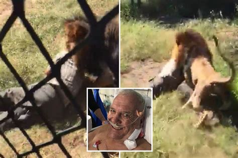 Terrifying Moment Brit Keeper Is Dragged Away By Lion Before Being