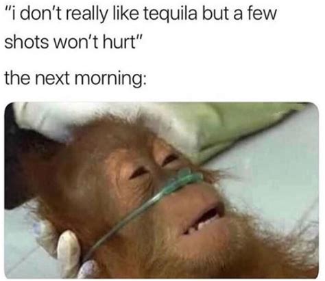 Also me, 2 days later: 17 Tequila Memes That'll Make Your Day | SayingImages.com