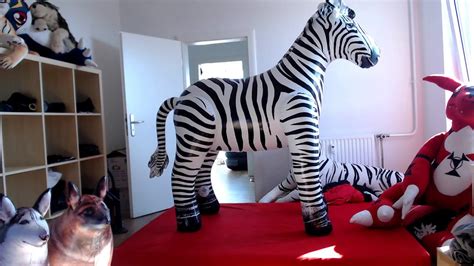 Riding The Inflatable Iw Zebra Down Youtube