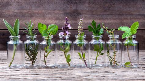 Using essential oils is a part of aromatherapy and ayurvedic practices. 12 Best Essential Oils You Need to Know About - Health ...