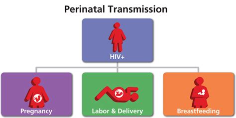 Transmisión perinatal Clinicalinfo