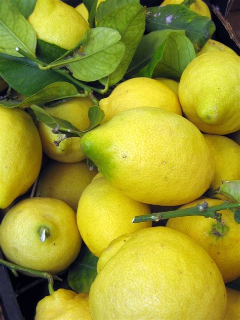 Lemons Go With Almost Everything—one Of Natures Perfect Foods Eat