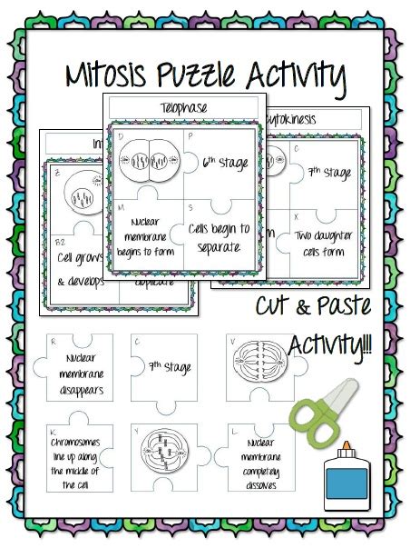 Math In Demand Mitosis Puzzle Activity