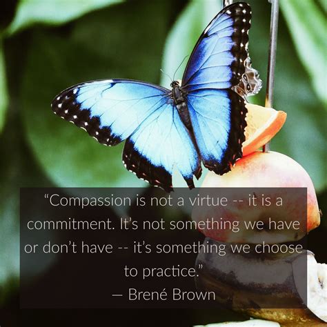 36 compassion quotes & sayings to enlighten you. 37 Inspirational Quotes About Compassion | Daily Positive ...