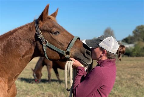 Equine Rescues Navigate Legal Limbo To Give Horses A Bright Future