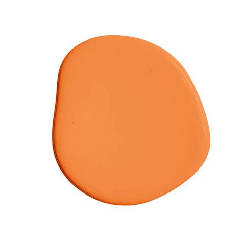Pantone® 14 1139 Tpgs Bright Peachy Orange Paint Tint Paint