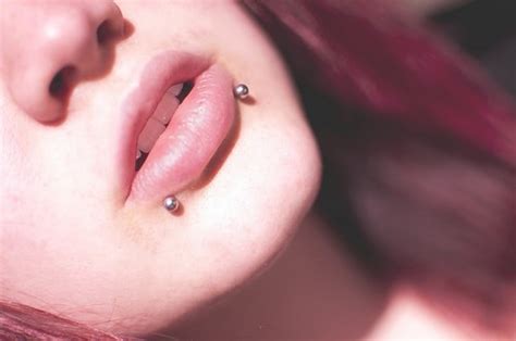 Snake Bites Piercing Guide And Images Authoritytattoo