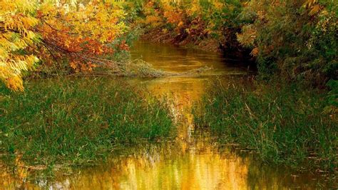 Peaceful River During Autumn Hd Nature Wallpapers Hd Wallpapers Id