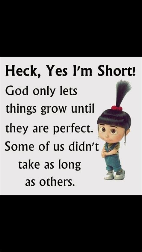 Funny Quotes About Short People