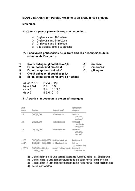 Model Examen Primer Semestre MODEL EXAMEN 2on Parcial Fonaments En I