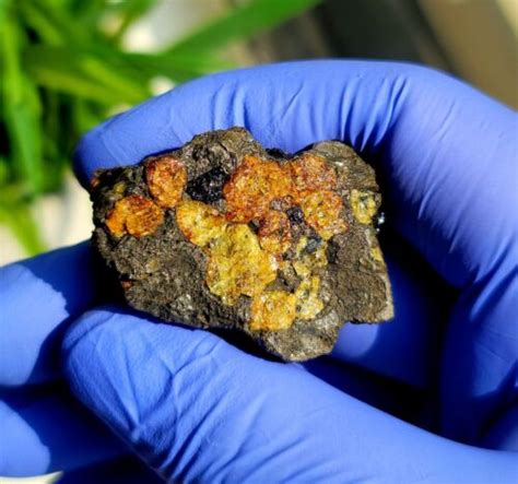 Meteoritesericho Pallasite6180 Gram Individual Nugget Highest